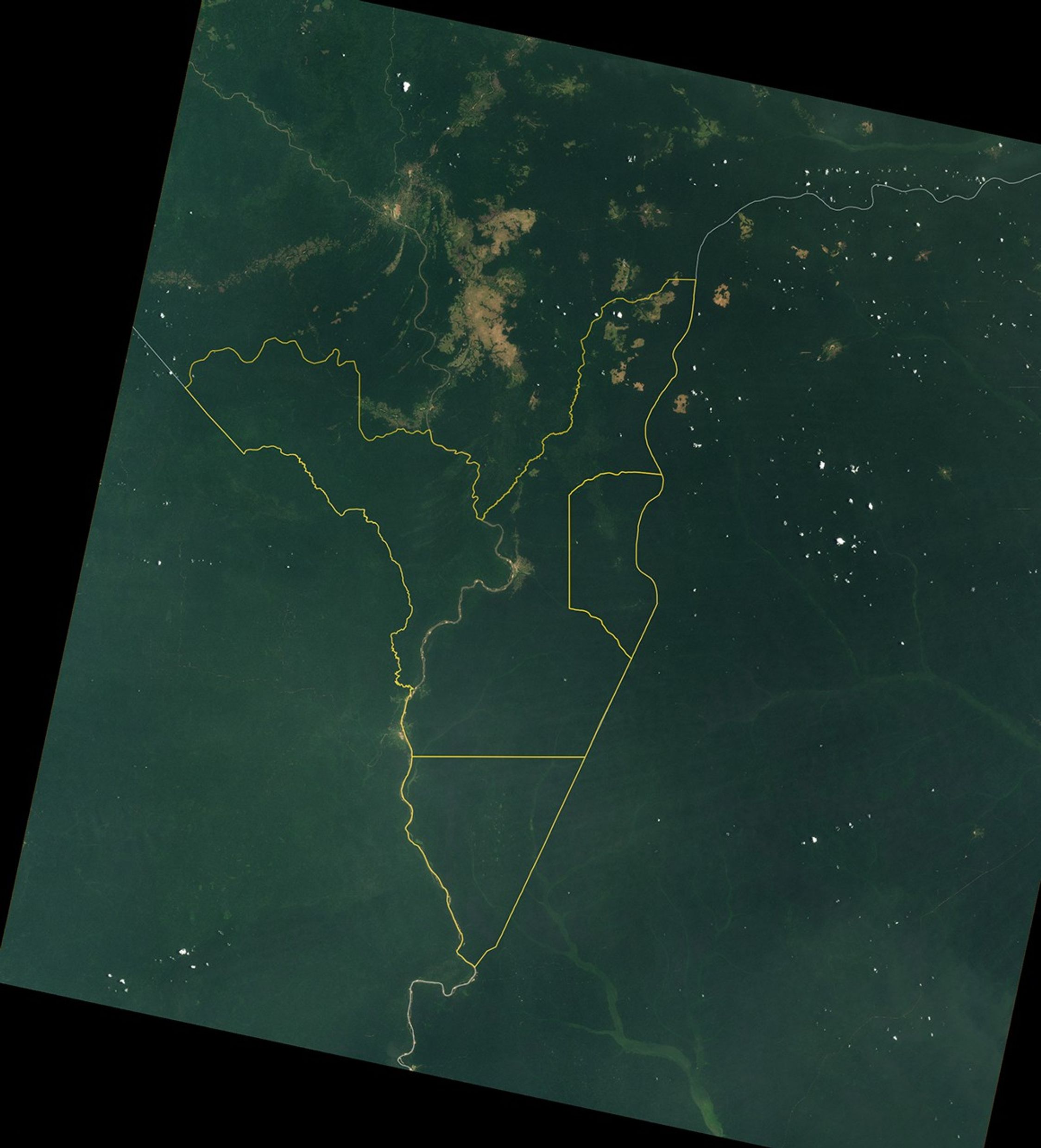 Dzanga Bai Elephant Enclave - related image preview