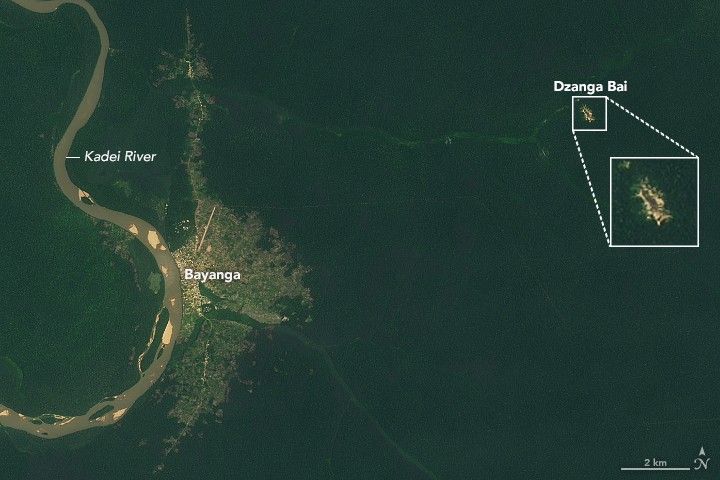 Dzanga Bai Elephant Enclave