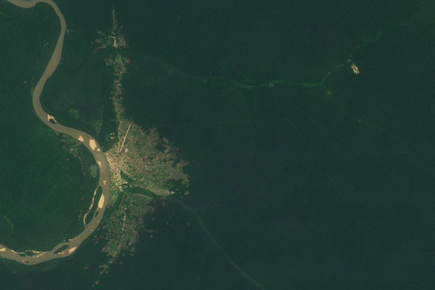 Dzanga Bai Elephant Enclave