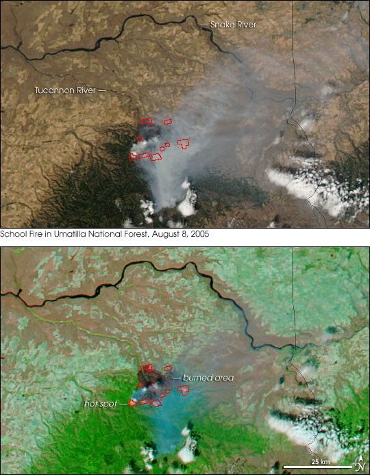 School Fire in Washington