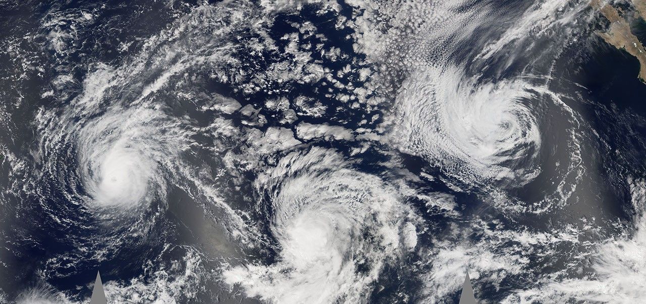 洋楽 HUrricane / terms&deff nish'n(s) Hurricane terms & deff nish'n(s) 【公式通販】