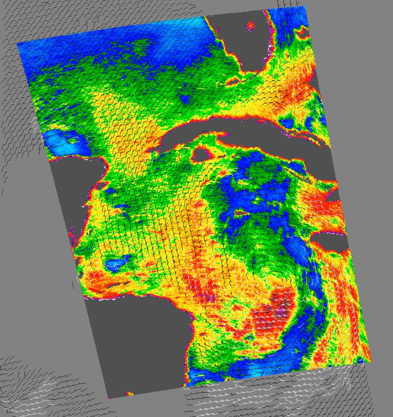Hurricane Wilma - related image preview