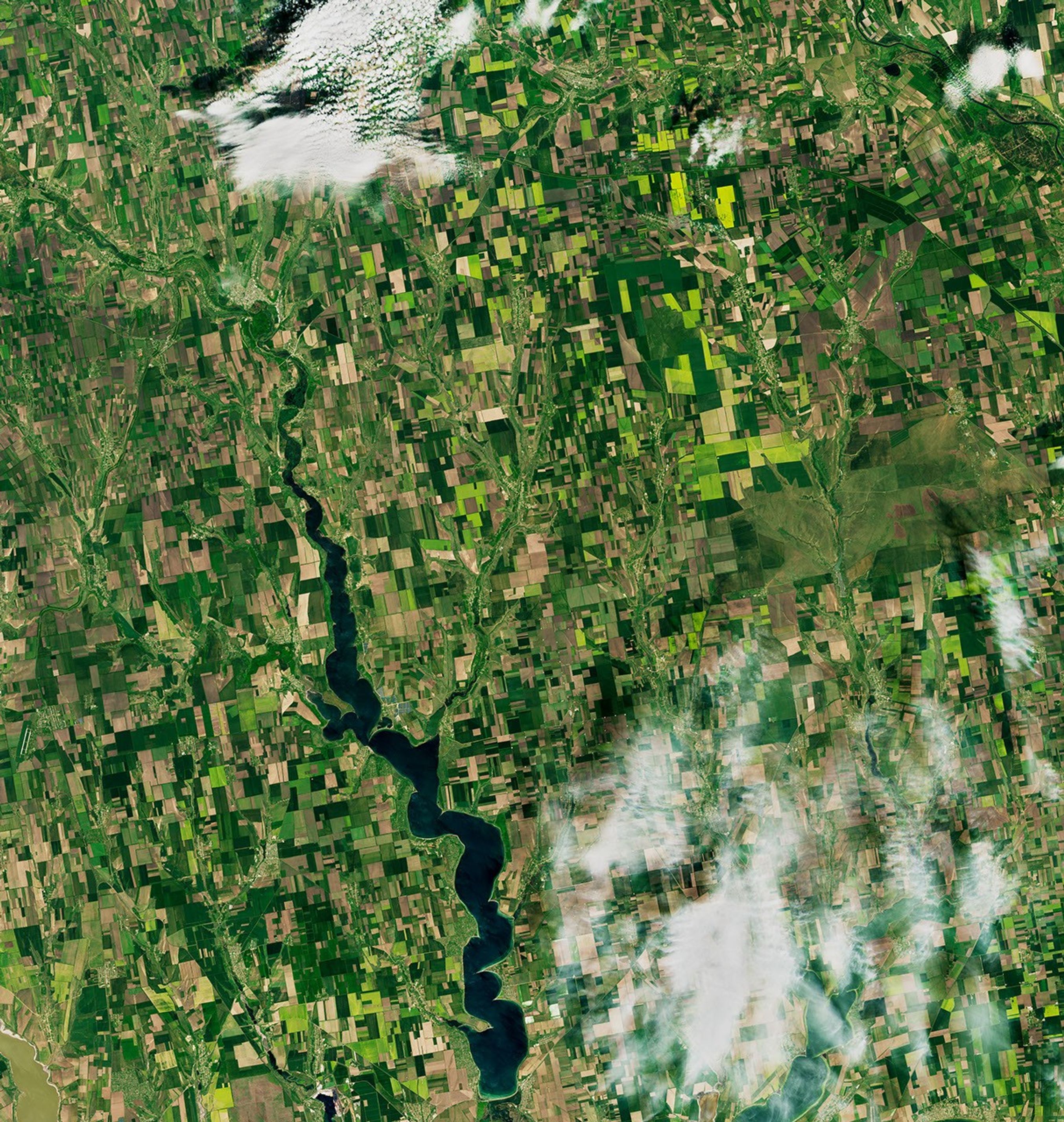 Measuring War’s Effect on a Global Breadbasket - related image preview