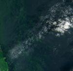 Blooming Lake Okeechobee - related image preview