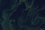 Greening the Gulf of Finland