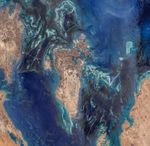 Making Pearls in the Persian Gulf