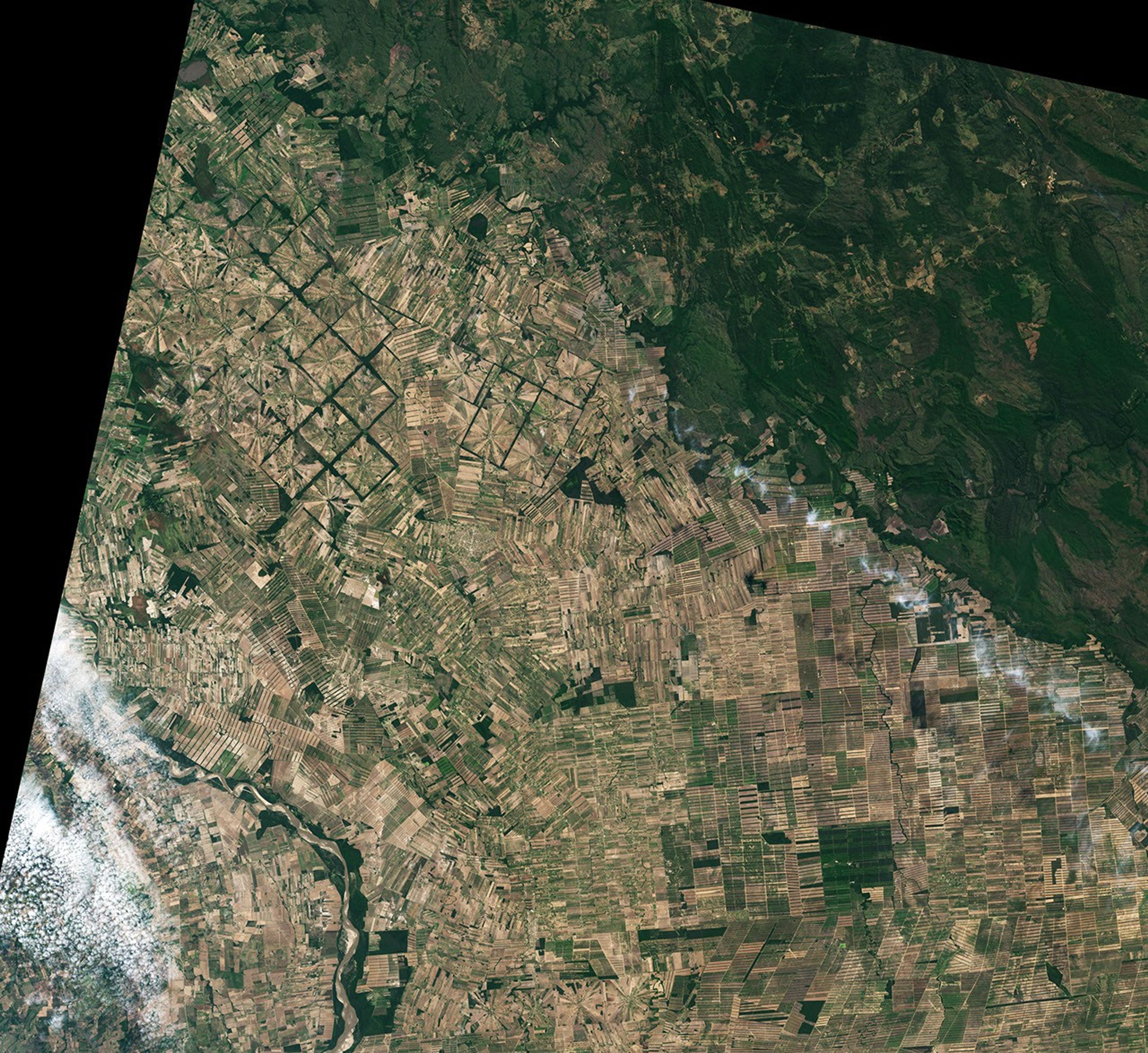 A natural-color Landsat 8 image of radial deforestation in Bolivia’s Tierras Bajas region acquired on August 22, 2022. In the image, forested land appears green and areas of deforestation appear tan.