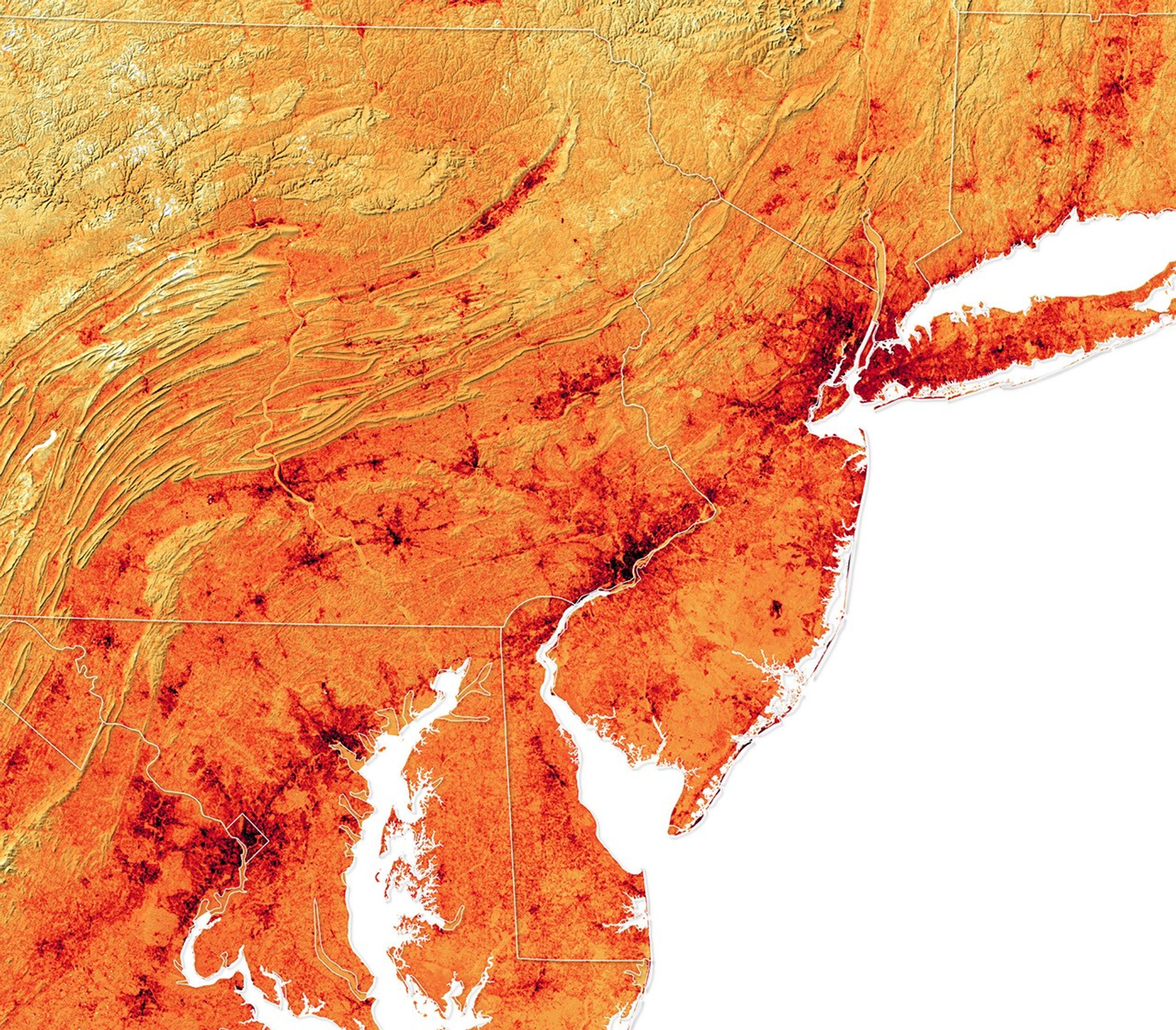 The Inequitable Distribution of Urban Trees