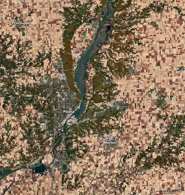 gridded farm land and forested river valley in the town of Peoria.
