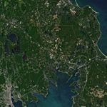 Cranberry Bogs in Plymouth County