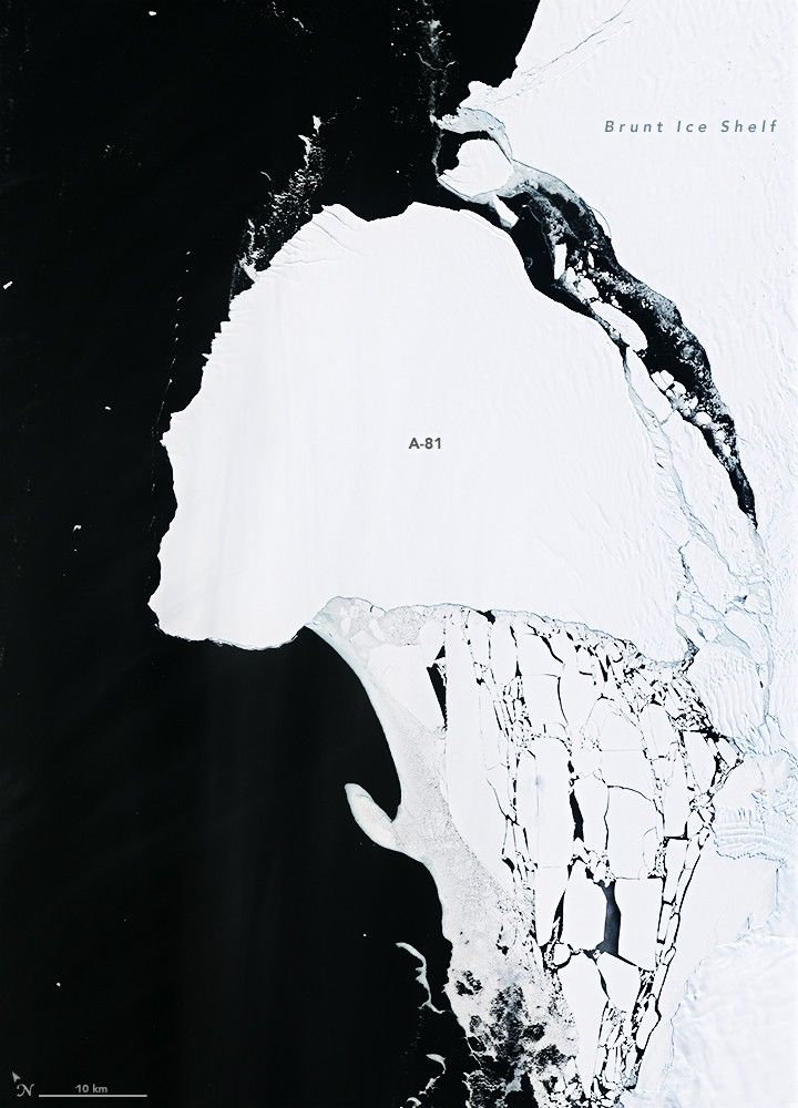 black and white iceberg photo