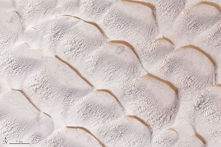 Wintry Dunes on Earth and Mars