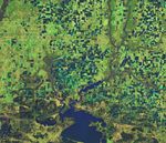 Flooded Rice Fields in Louisiana