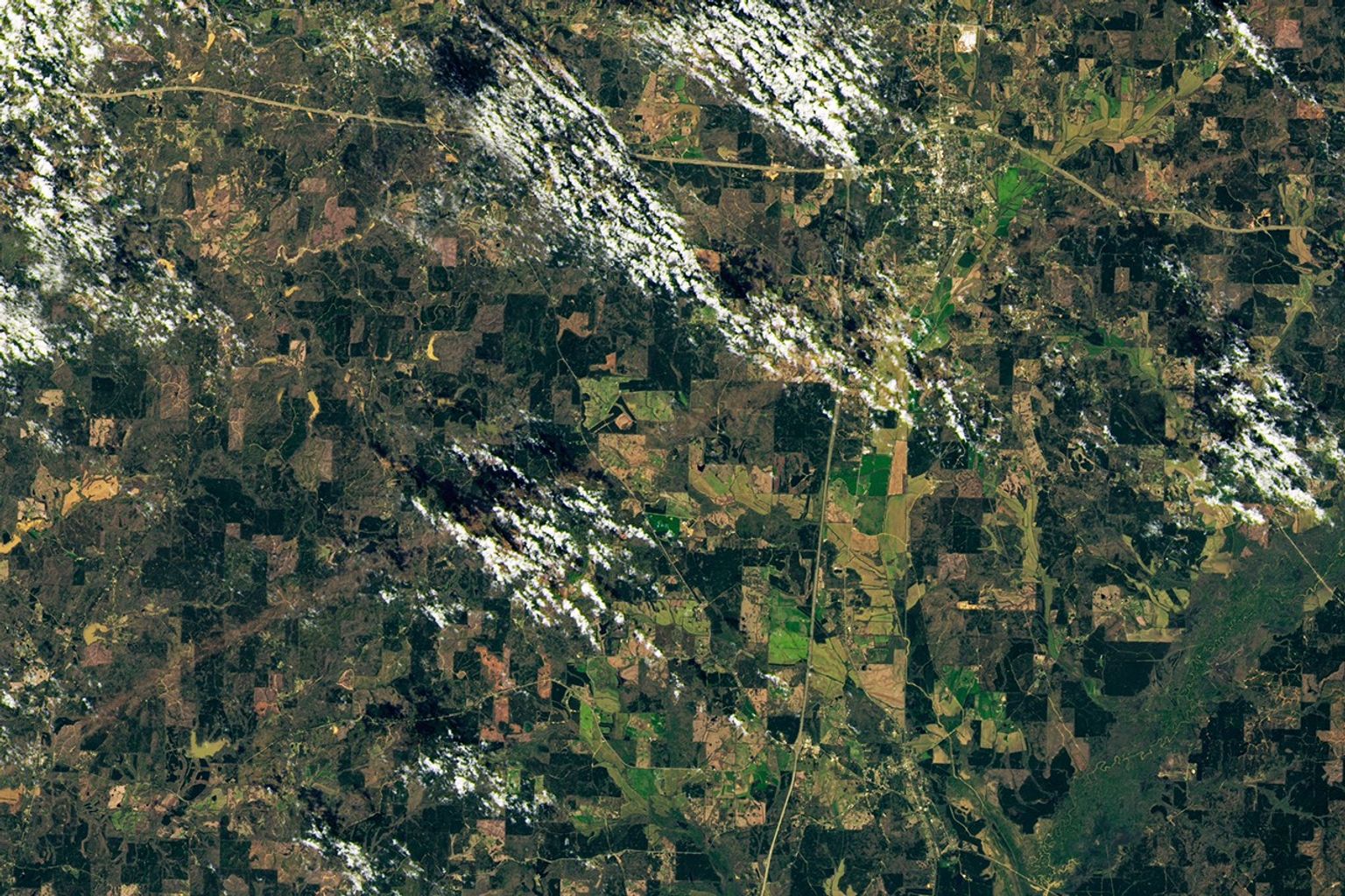 Tornado Leaves Path of Destruction in Mississippi - NASA Science