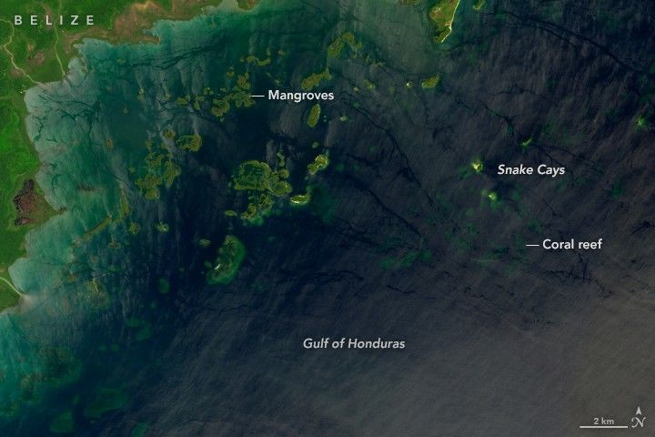 Port Honduras Marine Reserve
