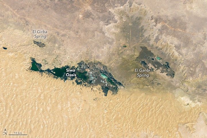 A Salty Desert Retreat