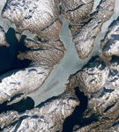 Curious Tracks Criss-Cross an Icy Fjord