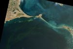 Deadly Blooms in the Gulf of Mannar