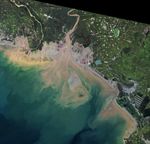 A Changing Estuary Lined With Red