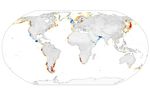 Coastal Phytoplankton on the Rise