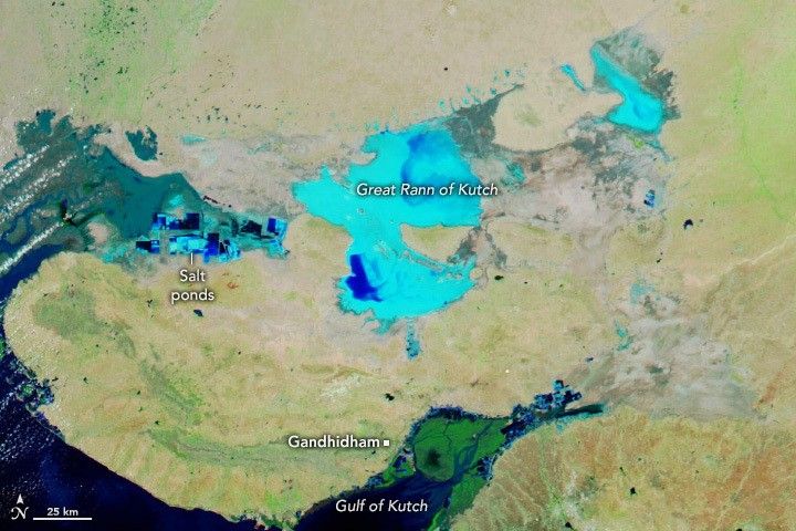 Biparjoy Swamps Western India