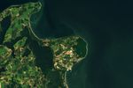 The Ancient Forests and White Cliffs of Jasmund