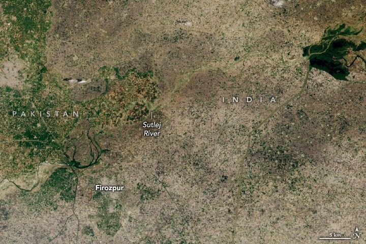 Flooding Along the Sutlej River in Punjab
