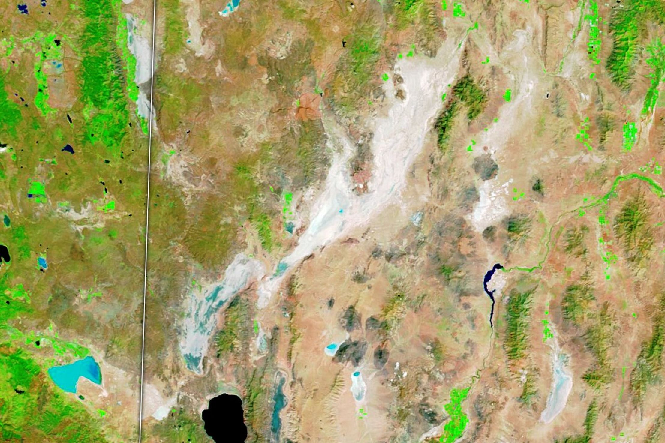 Summer Rains on Nevada’s Black Rock Playa