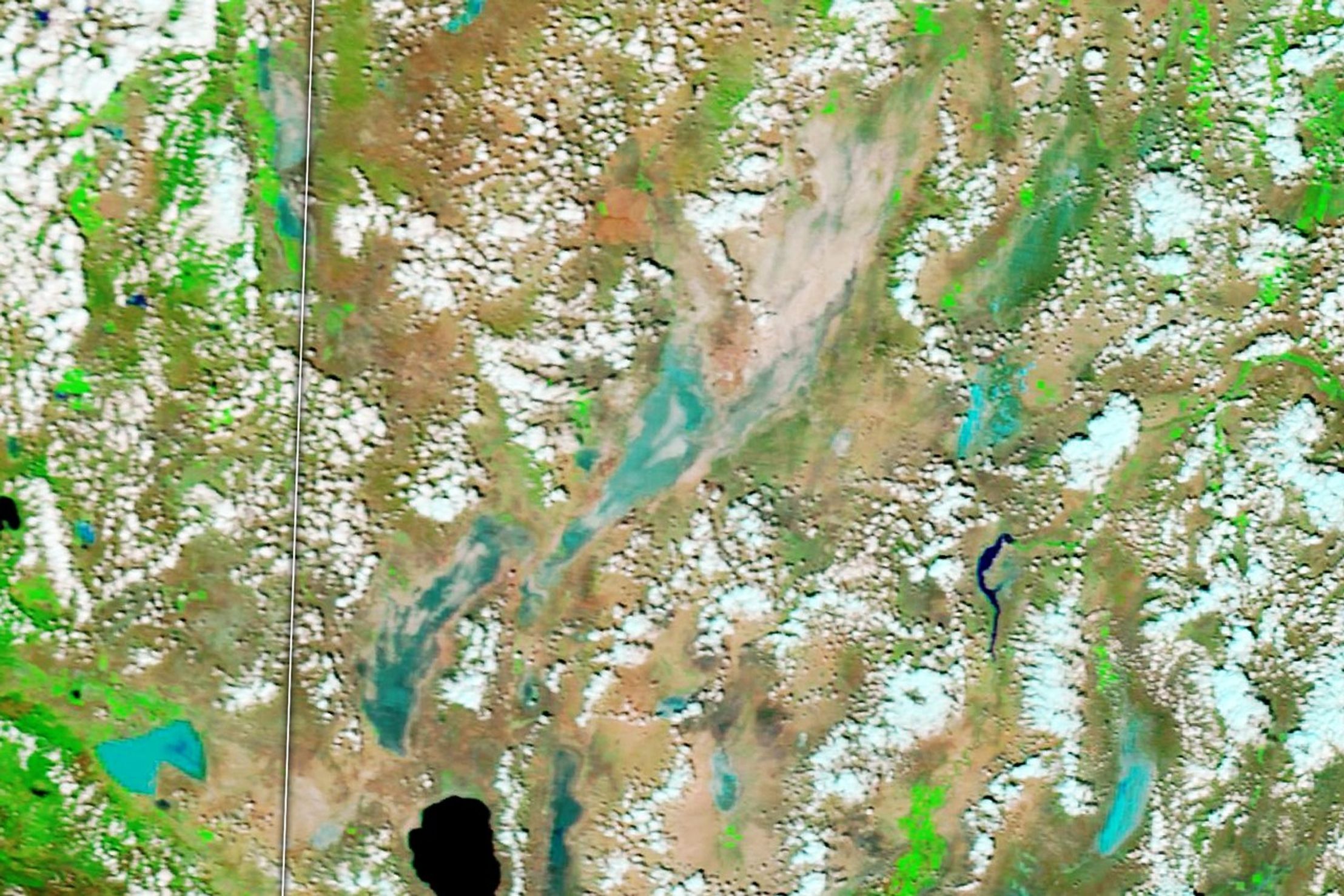 Summer Rains on Nevada’s Black Rock Playa