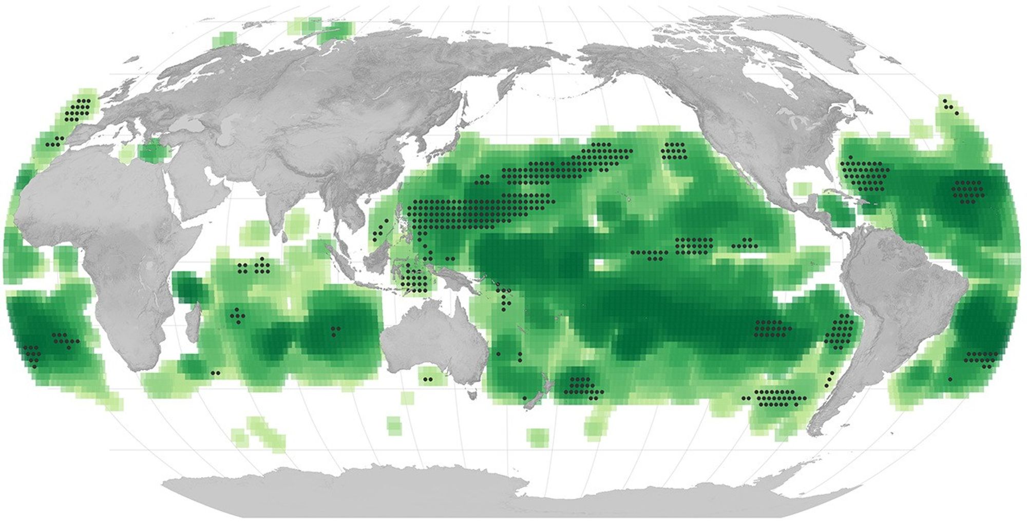 Climate Change Lends New Color to the Ocean - NASA Science