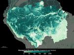 Indigenous Communities Protect the Amazon