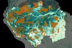 Indigenous Communities Protect the Amazon