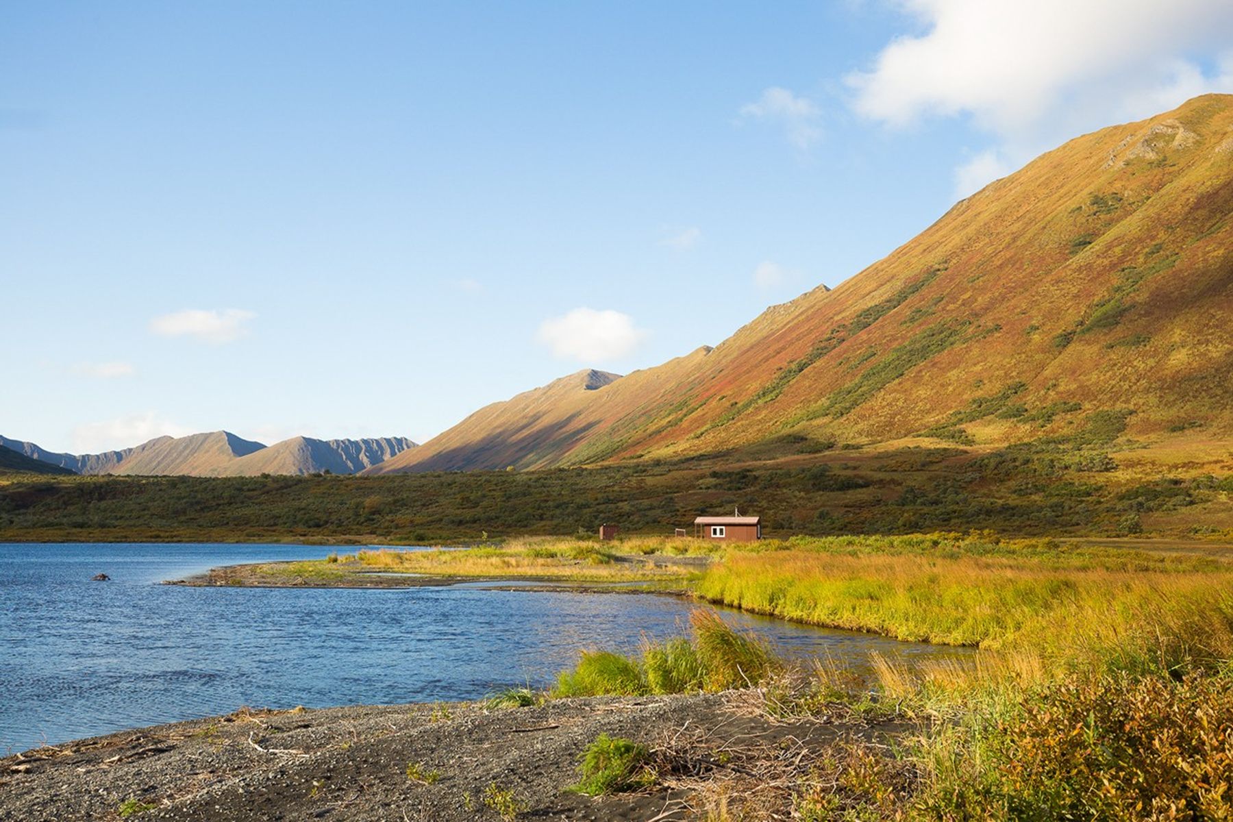 Warm Autumn Hues on Kodiak Island - related image preview