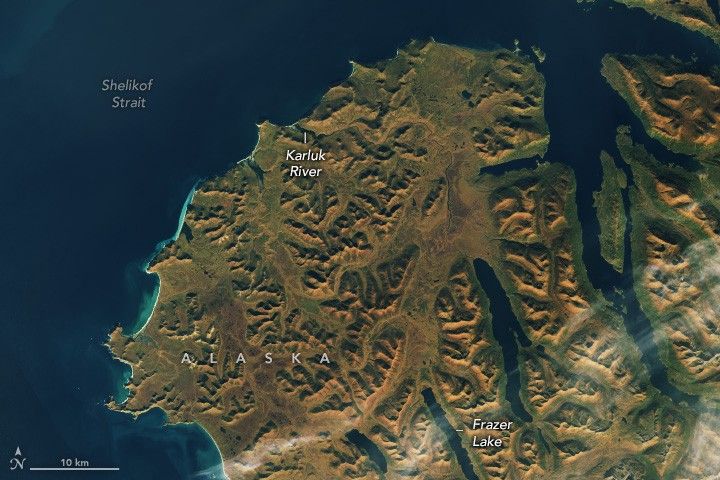 Warm Autumn Hues on Kodiak Island