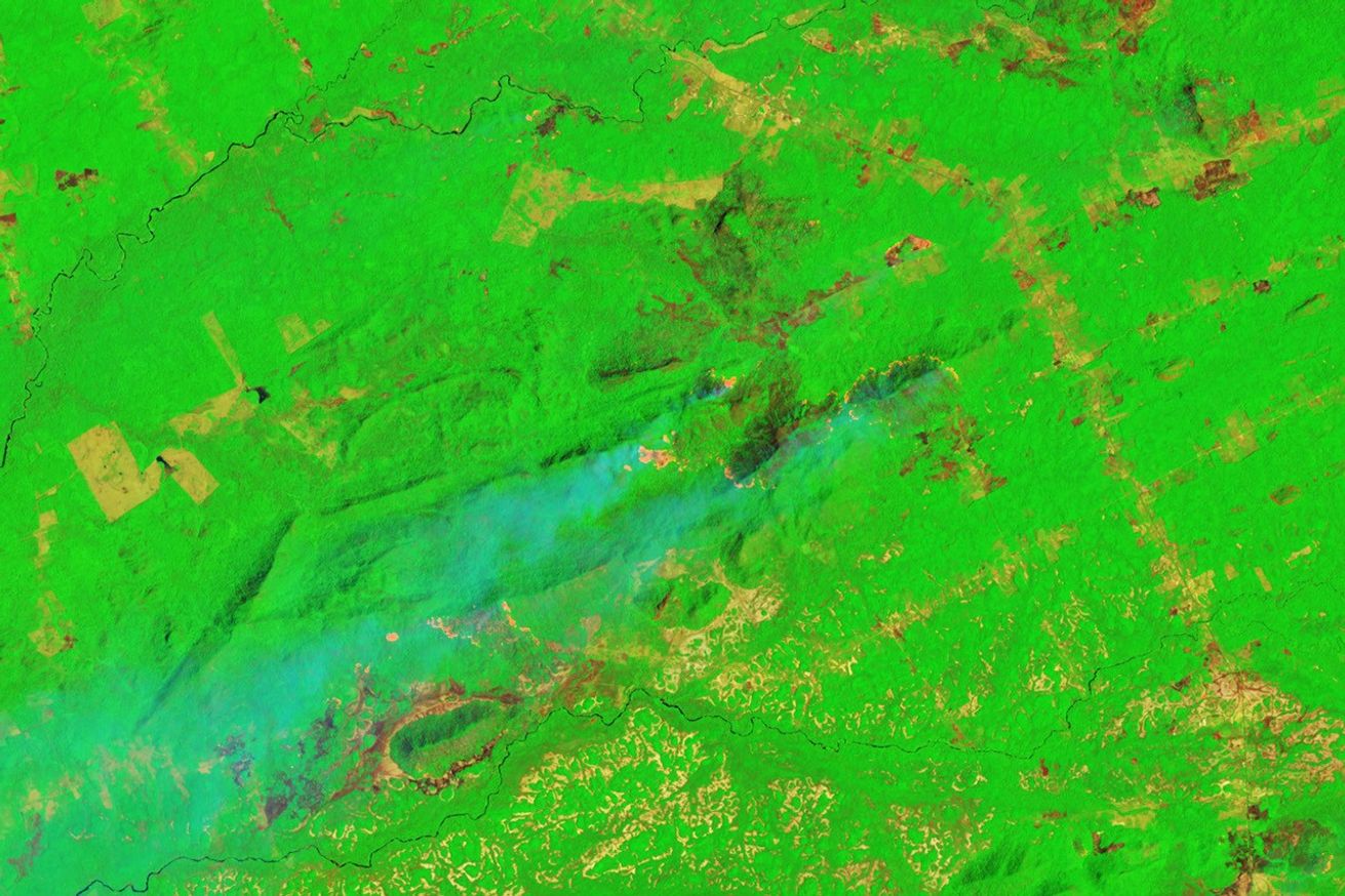 Amazon Forest Fires Rage in Roraima - related image preview