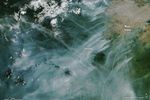 Amazon Forest Fires Rage in Roraima