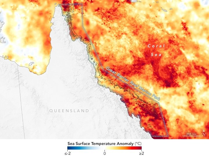 Great Barrier Reef Heat Stress 2024