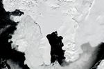Is the Wilkins Ice Shelf Weakening?