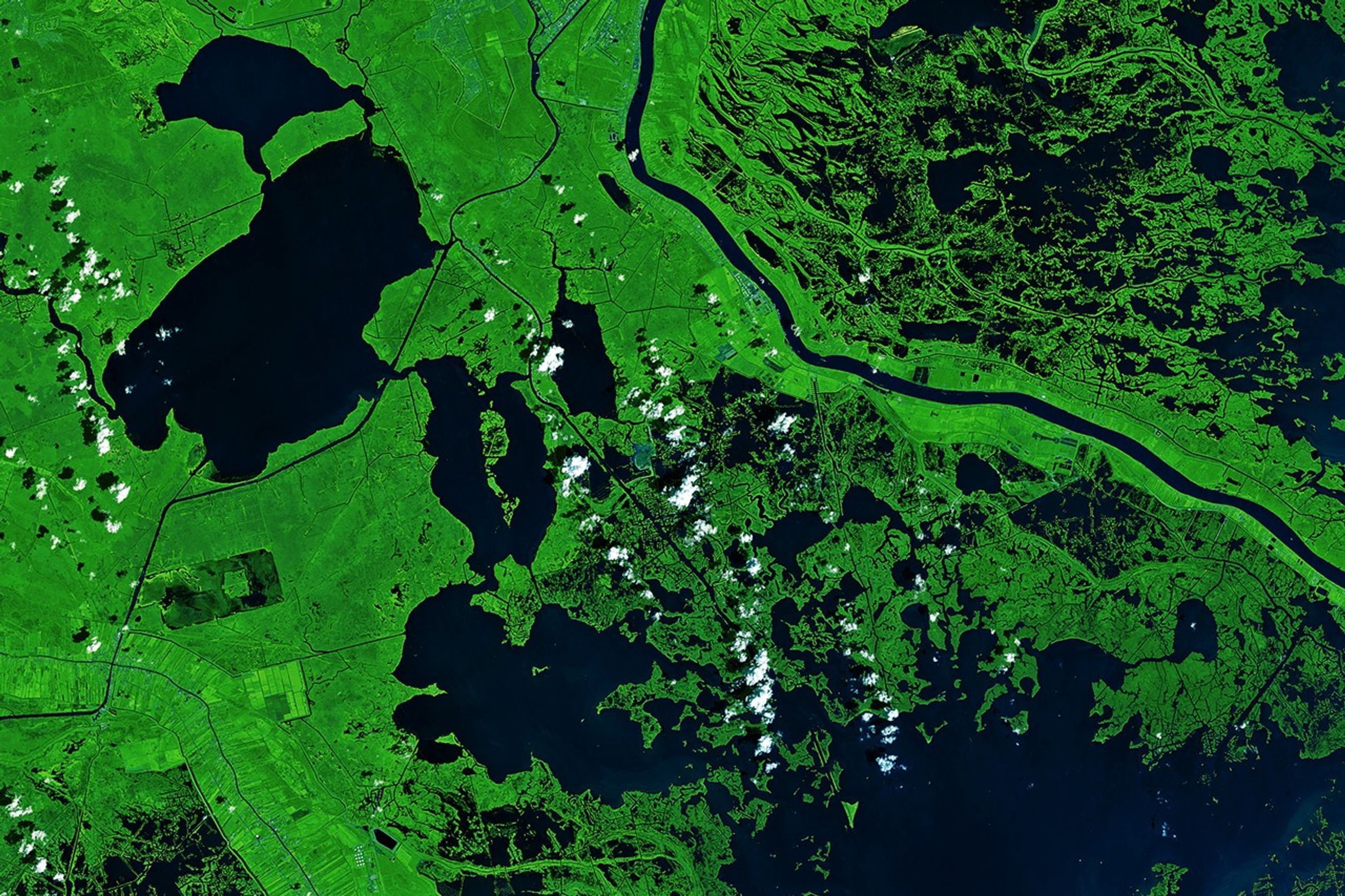 Hurricanes Have Left Their Mark on Louisiana’s Wetlands