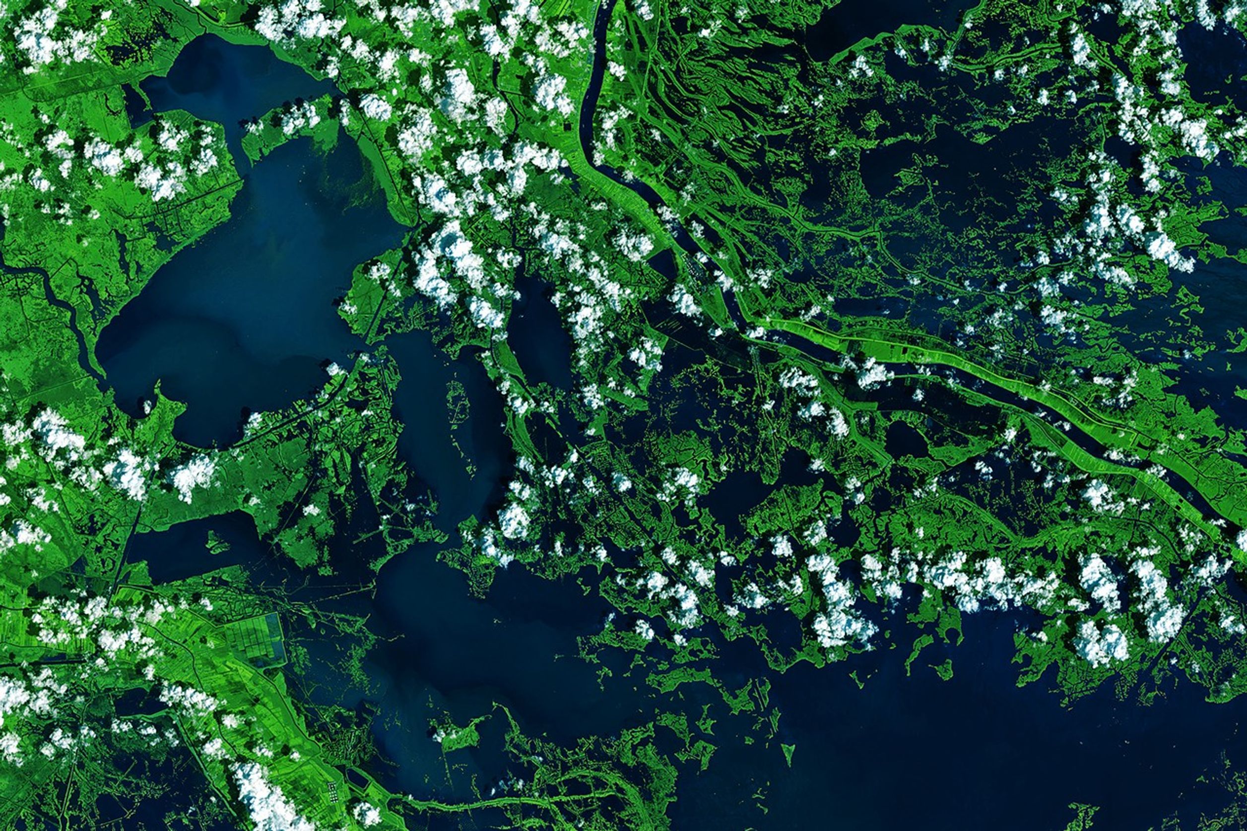 Hurricanes Have Left Their Mark on Louisiana’s Wetlands