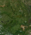 Where the Wood Bison Roam