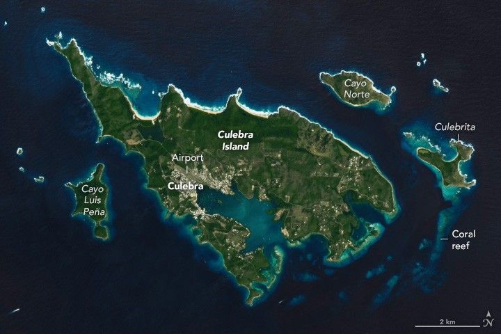 Culebra’s Coral Reefs  