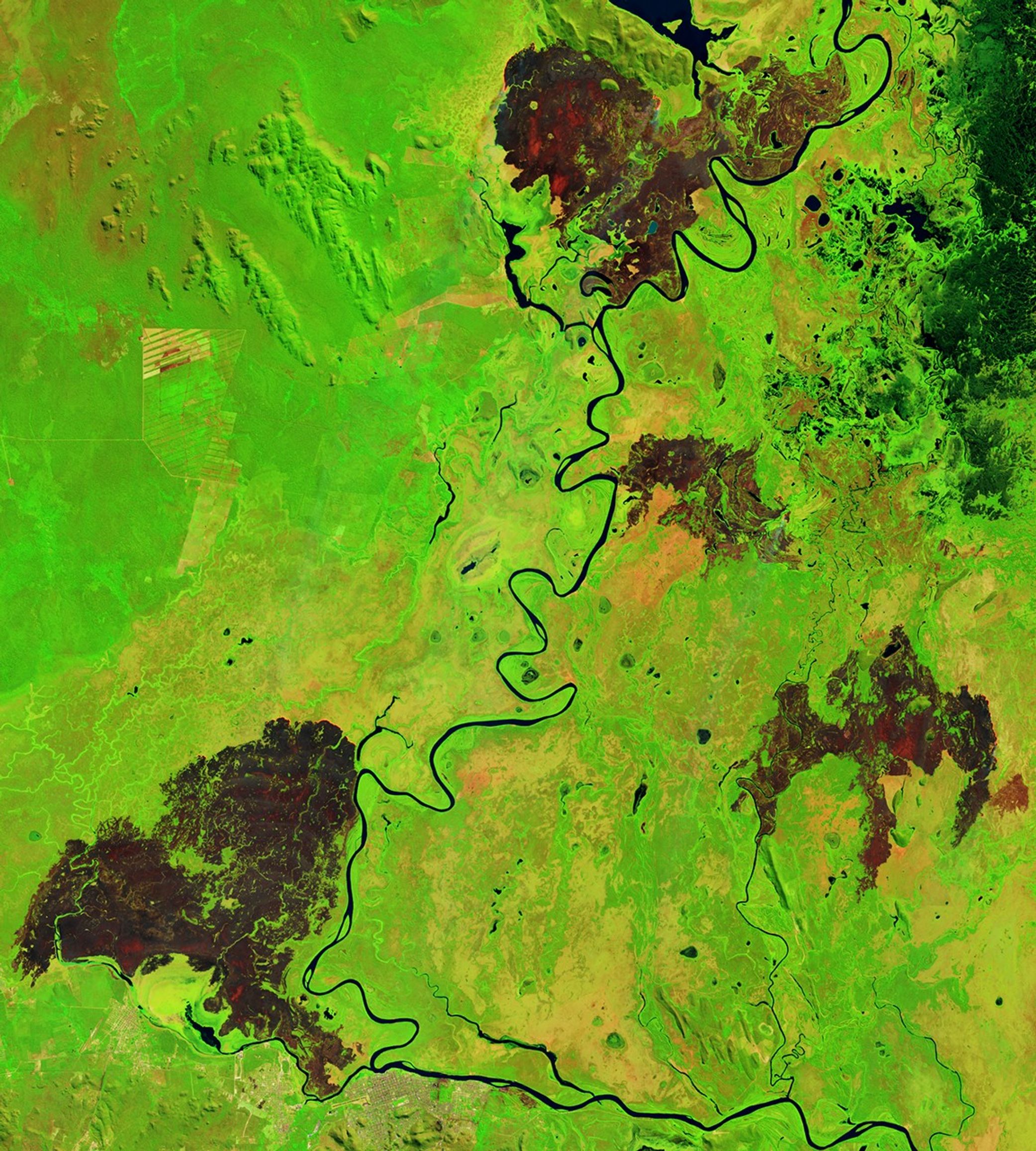 Early Fires in Brazil’s Pantanal