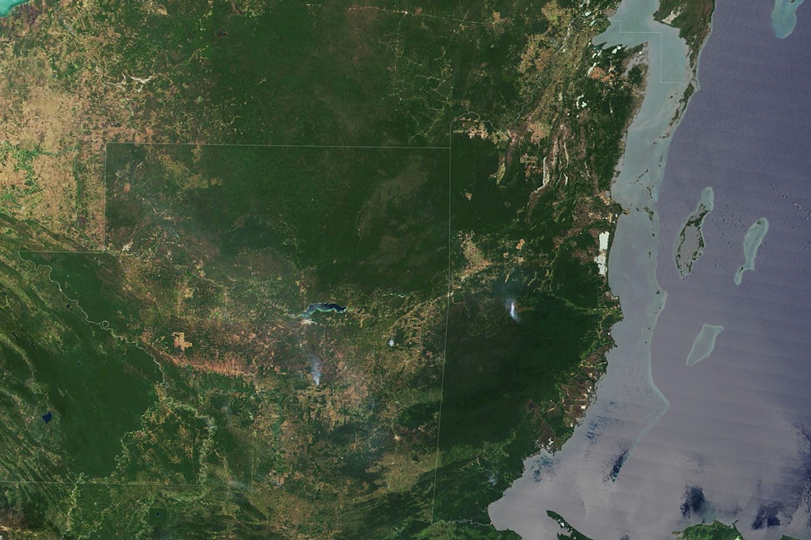 The Shrinking Selva Maya