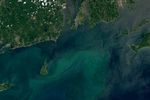 A Piece of Rhode Island in the Atlantic