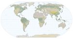 Treasured Maps
