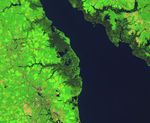 Delaware’s Tidal Wetlands