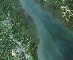 Delaware’s Tidal Wetlands
