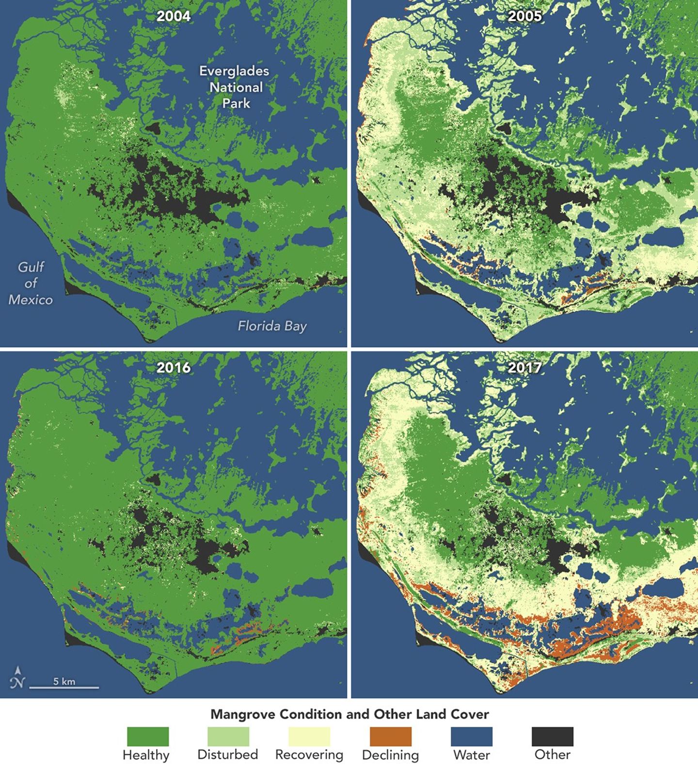 Mangroves Are Losing Their Resilience