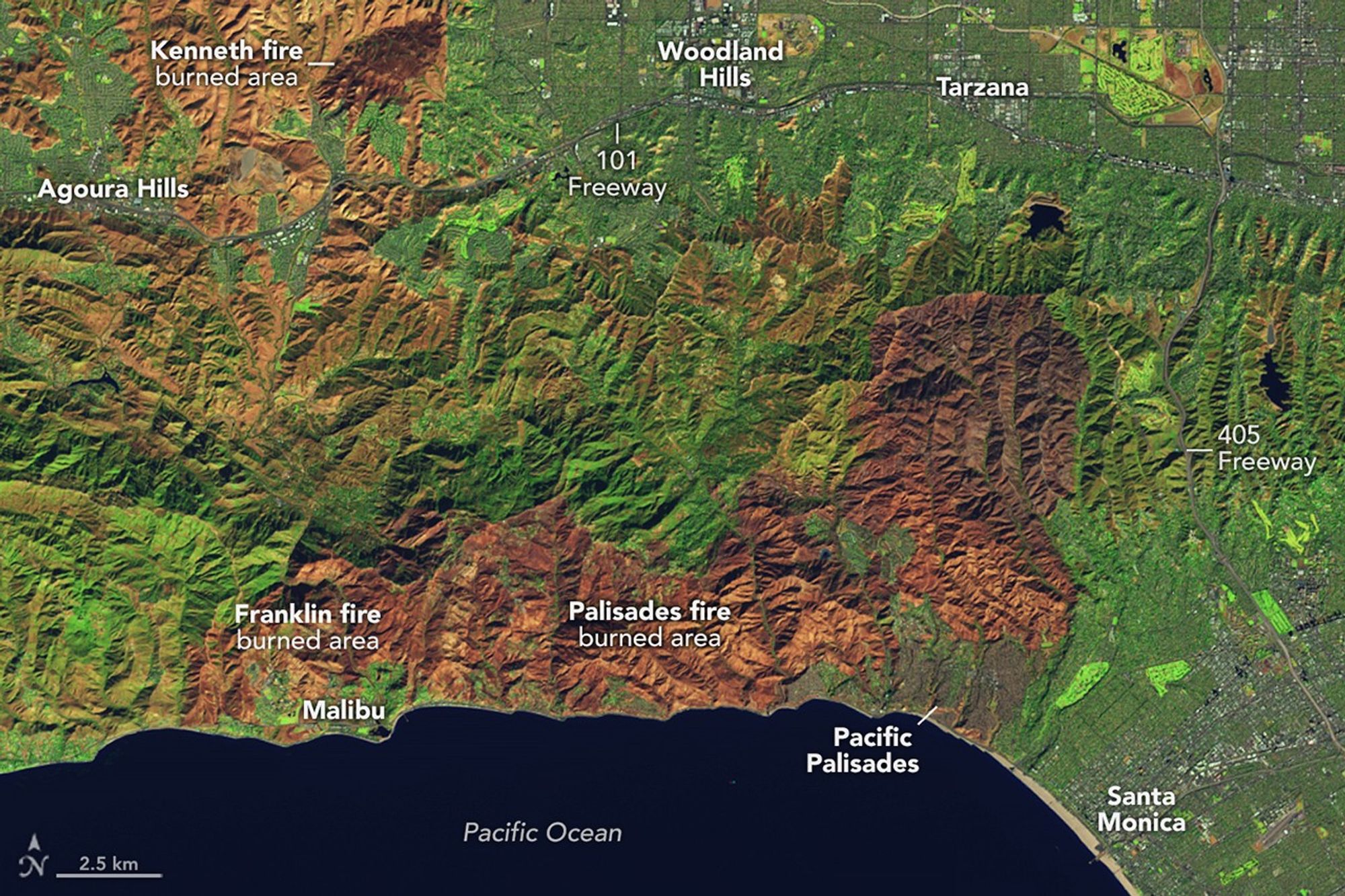 False-color satellite image of the Palisades fire burn scar, Los Angeles, January 2025